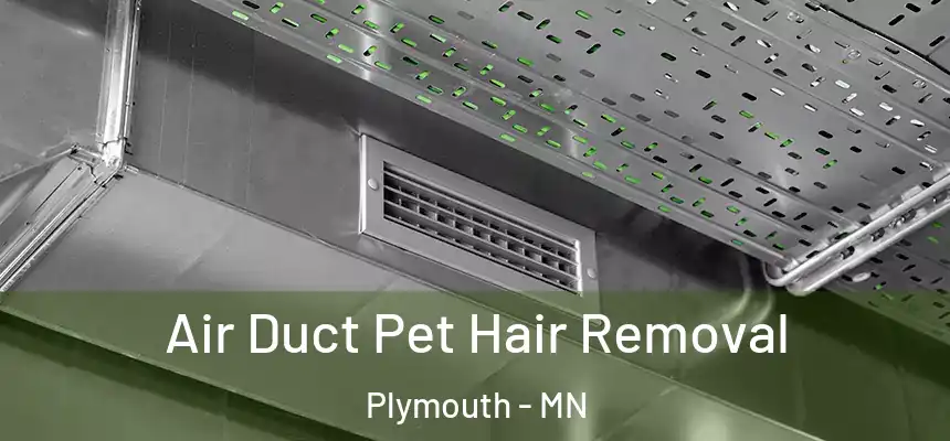  Air Duct Pet Hair Removal Plymouth - MN