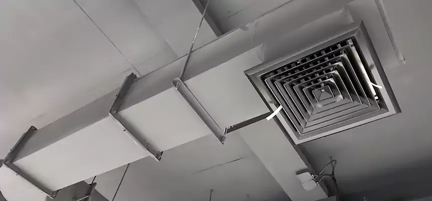 Our Pest Removal From Ducts Services in Plymouth, MN