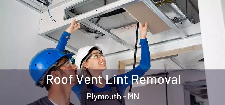 Roof Vent Lint Removal Plymouth - MN