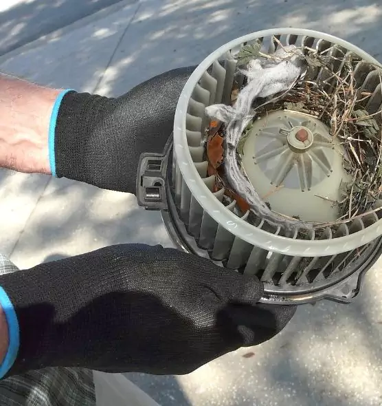 About Air Duct Mice Removal in Plymouth, MN