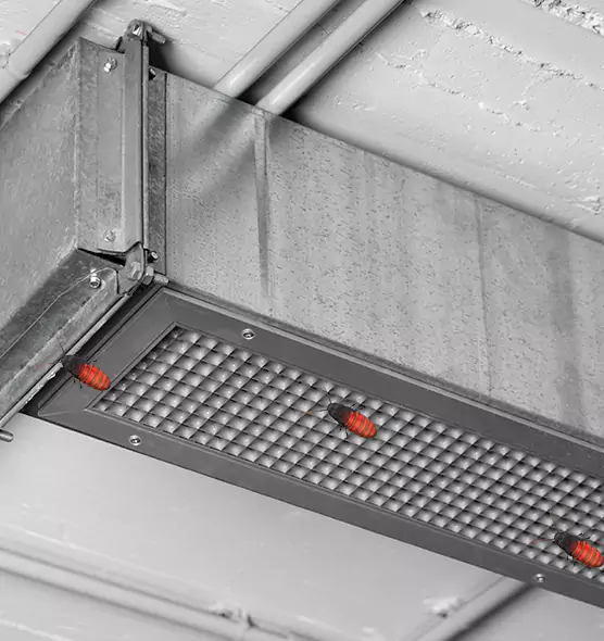 Affordable Insect Removal from Air Ducts in Plymouth, MN