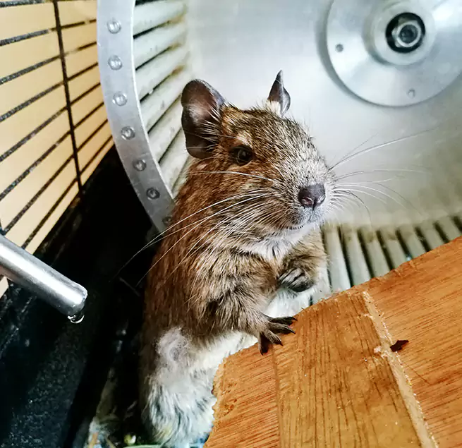 Why Homeowners & Businesses Trust Us Plymouth, MN?