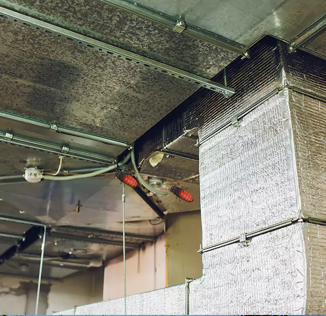 Why Homeowners & Businesses Trust Us Plymouth, MN?