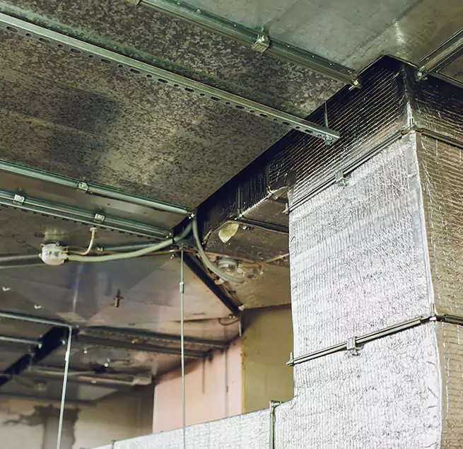 Why Homeowners & Businesses Trust Us in Plymouth, MN?